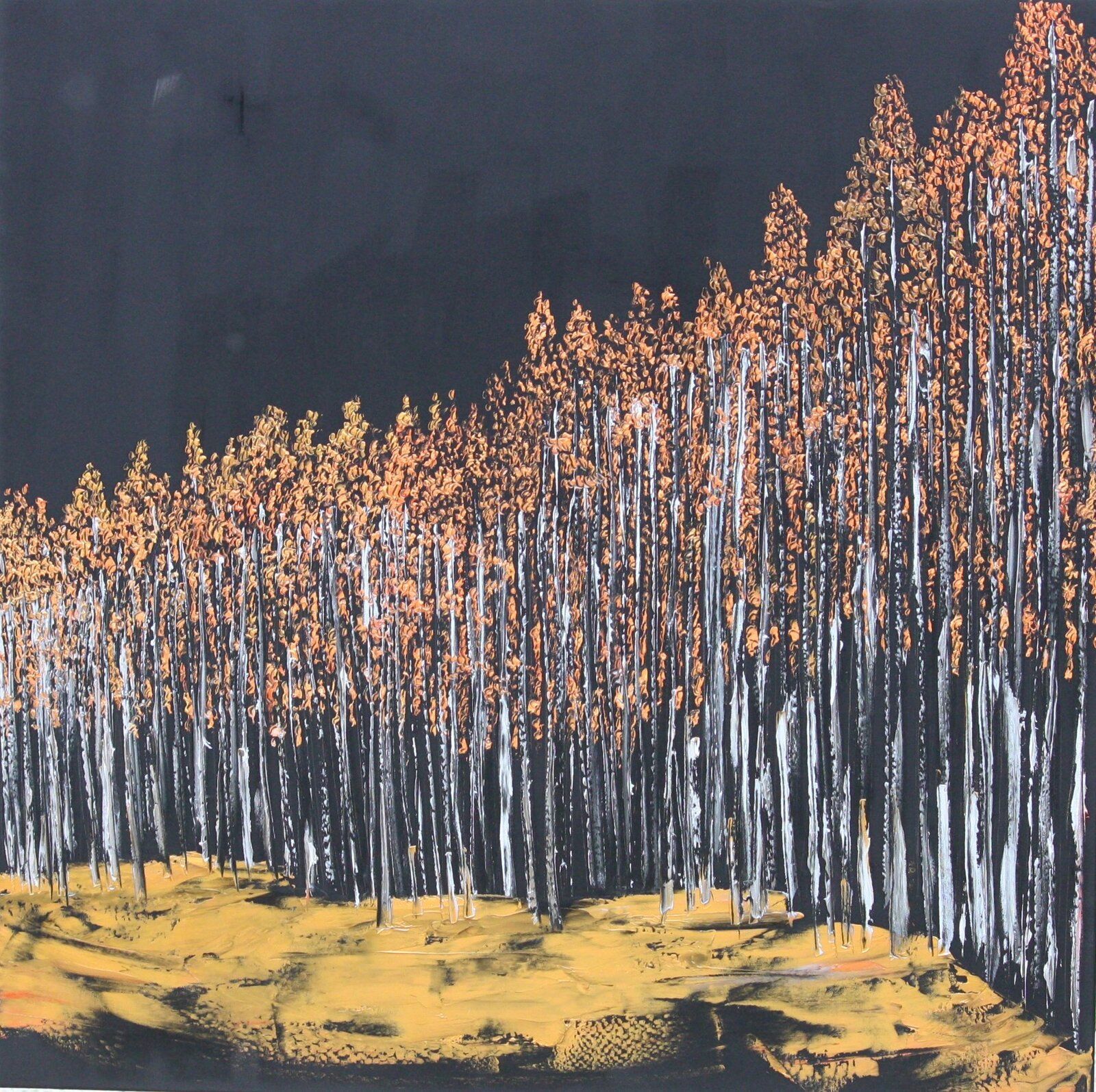 Birch Trees Autumn Walks 100 Cm X 100 Cm Oil On Canvas 2019