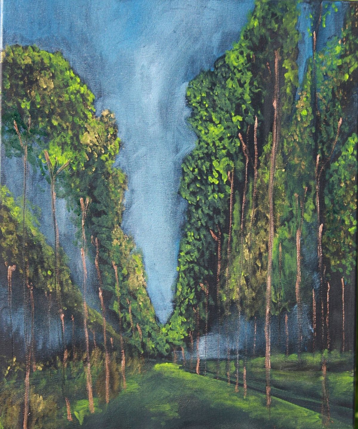 Poplar Trees Summer Walks 46 Cm X 38 Cm Oil On Canvas 2020
