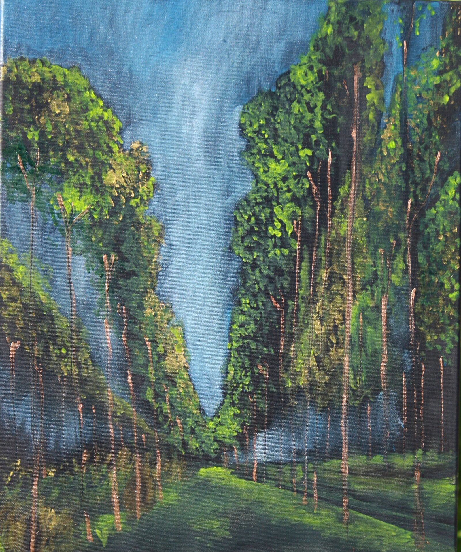 Poplar Trees Summer Walks 46 Cm X 38 Cm Oil On Canvas 2020