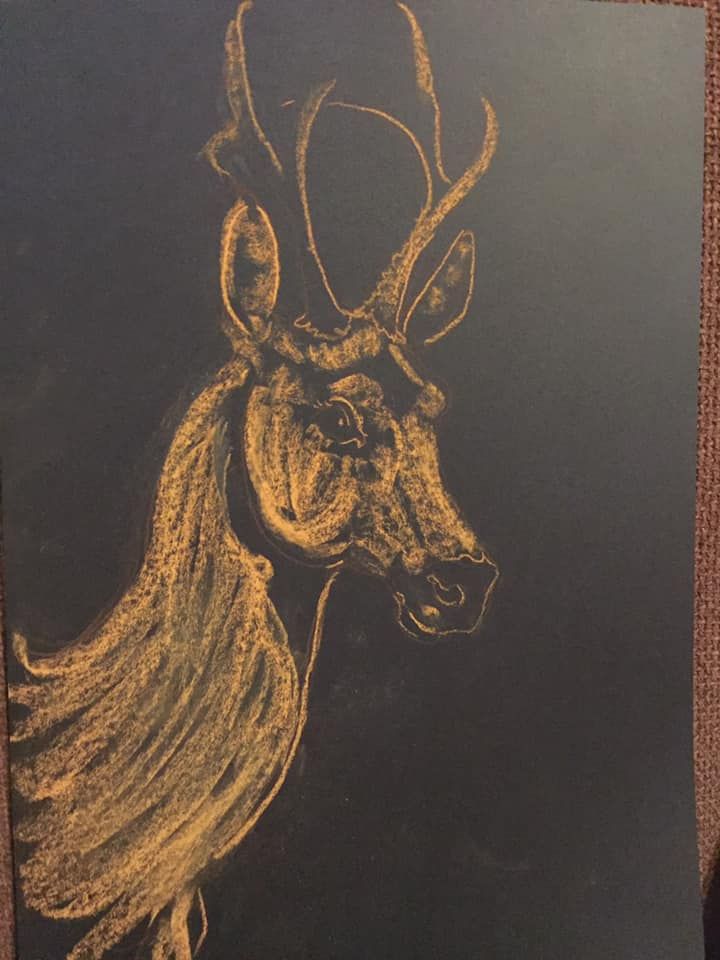 Chevreuil Etude Pastel Sec On Paper Format A 3 2019