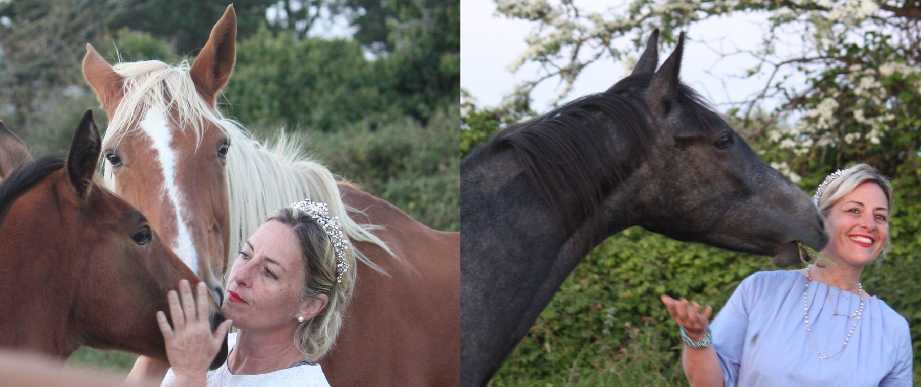 Brooke Major avec ses chevaux