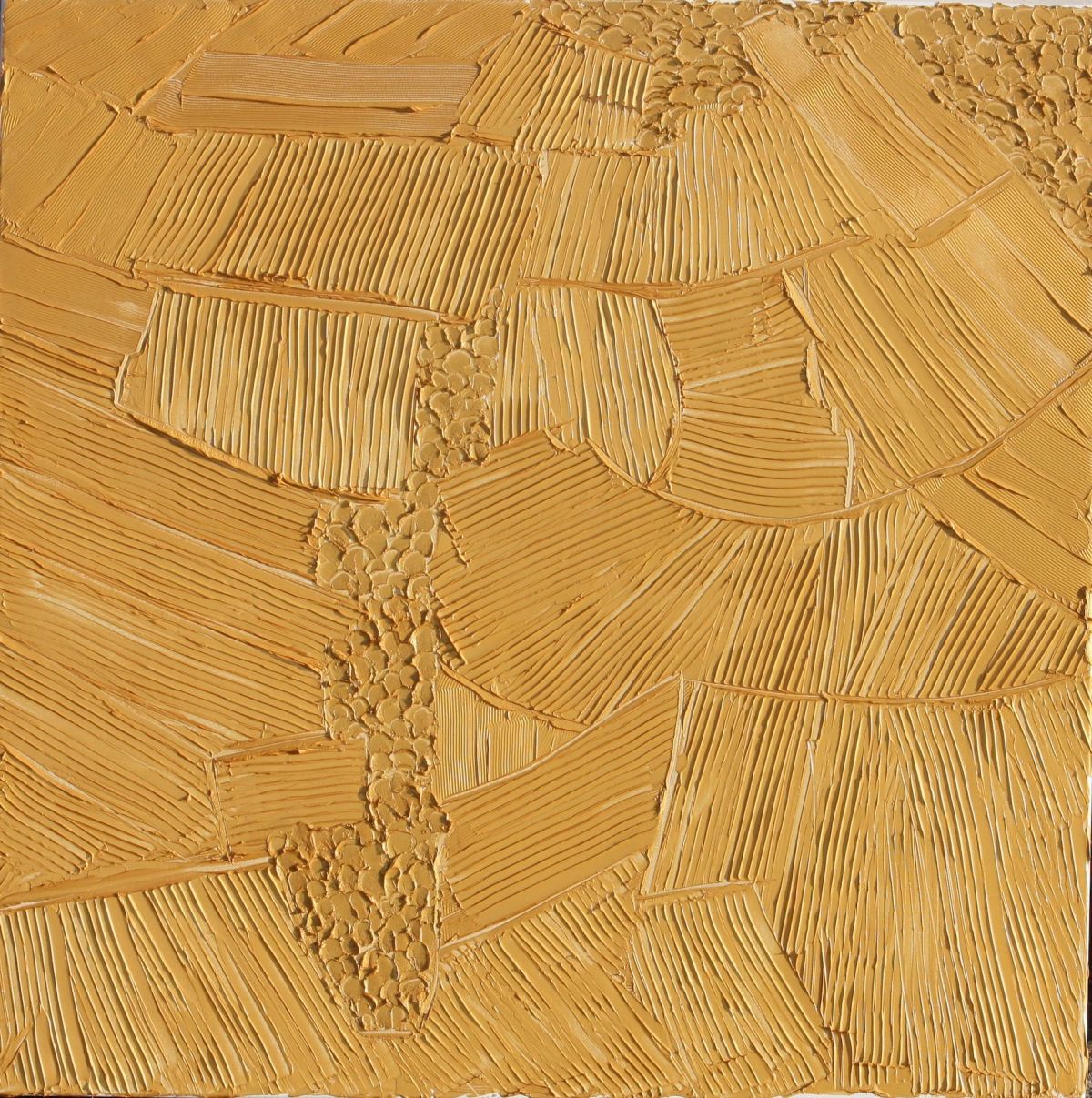 Champagne Fields 60 Cm X 60 Cm Sculpted Gold Oil Paint On Canvas 2018