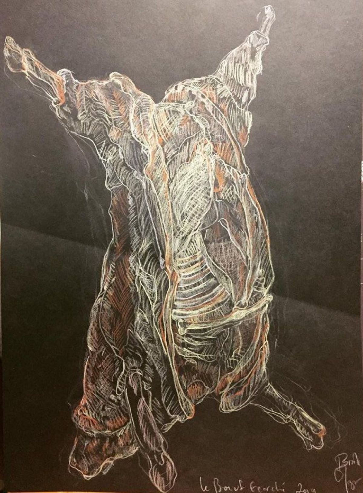 Le Boeuf Ecorche Polychrome And Sanguine On Paper Format A 3 2019