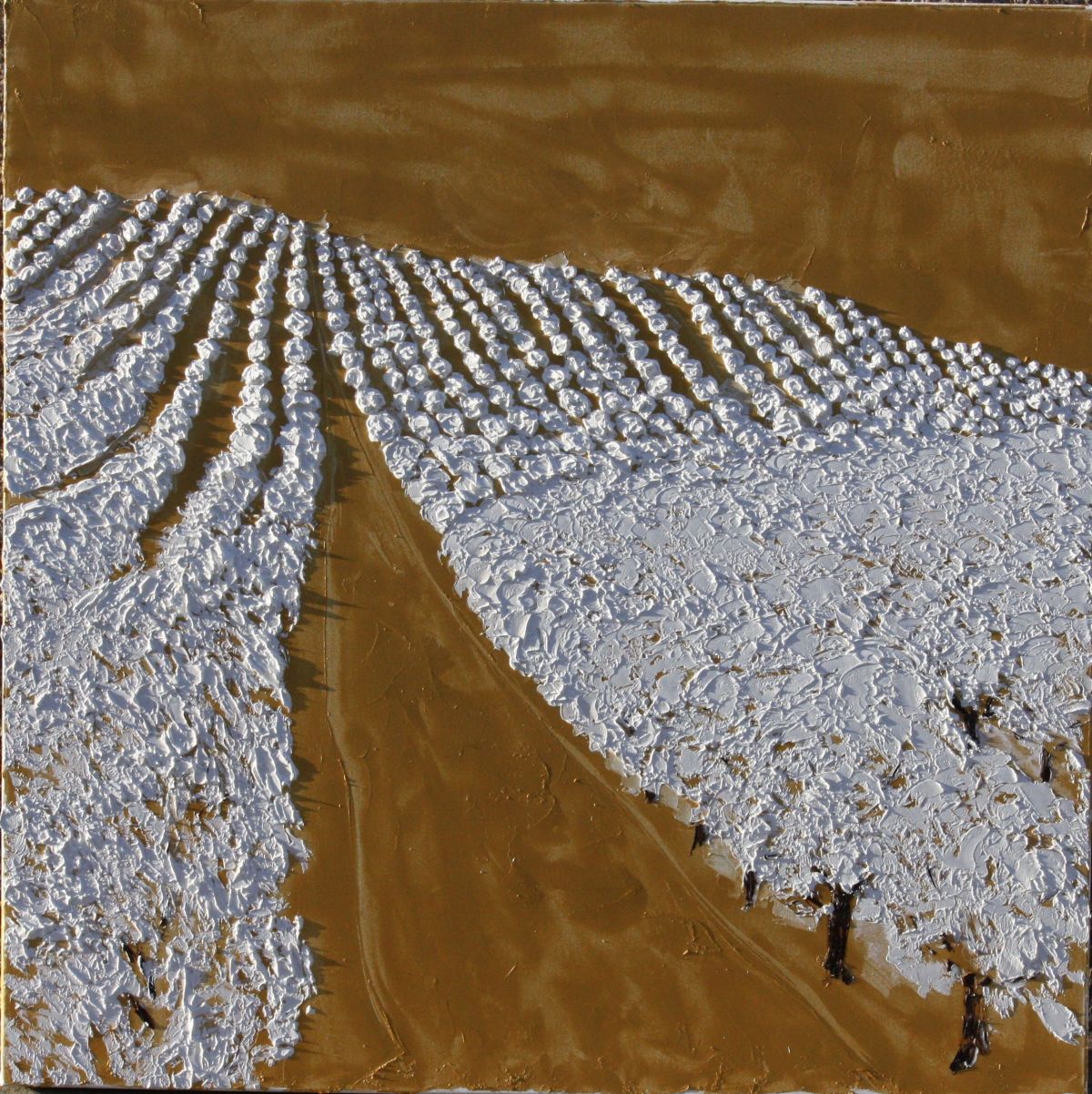 Almond Fields California 100 Cm X 100 Cm Sculpted Oil Paint On Canvas 2018
